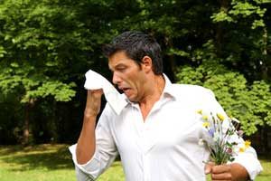 allergien