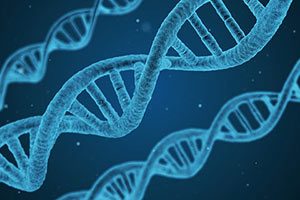 Behandlung Genetik, Mutation
