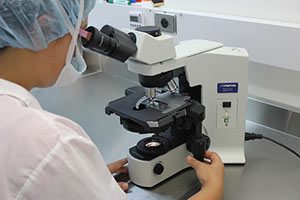 Anwendung mikroskop - Die hochwertigsten Anwendung mikroskop ausführlich analysiert!