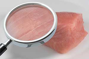  Salmonellenvergiftung, genauer Salmonellose fleisch