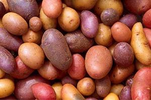 Kartoffeldiät