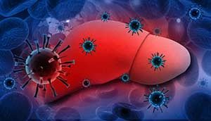 Hepatitis C B HBV Virus Leber Ikterus