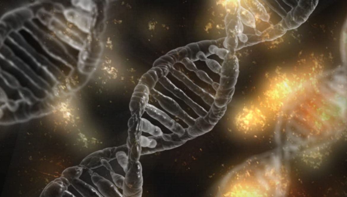 Chromosomen - Anatomie, Funktion, Beschwerden » Krank.de