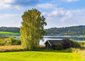 bayern ackerboden see landwirtschaft natur grün himmel baum Elizabethkingia Elisabethkingia