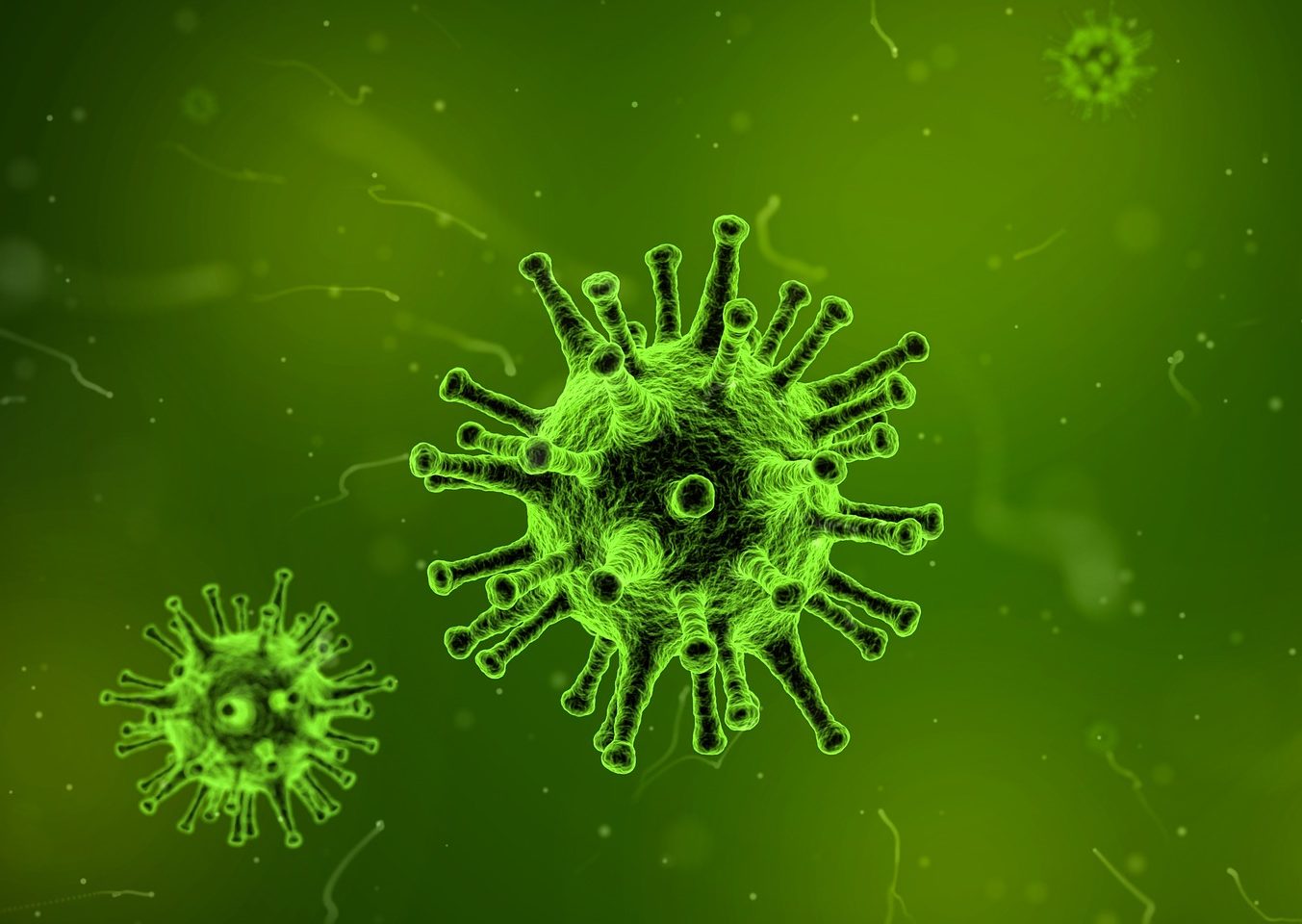 Was ist herpes ursachen symptome diagnose therapie