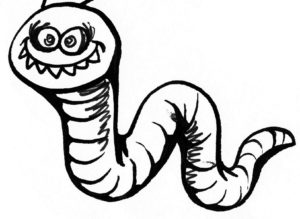 Fadenwürmer Fuchsbandwurm Spulwürmer Trichinen Madenwürmer Peitschenwürmer Hakenwürmer Spulwürmer (Ascaris lumbricoides)