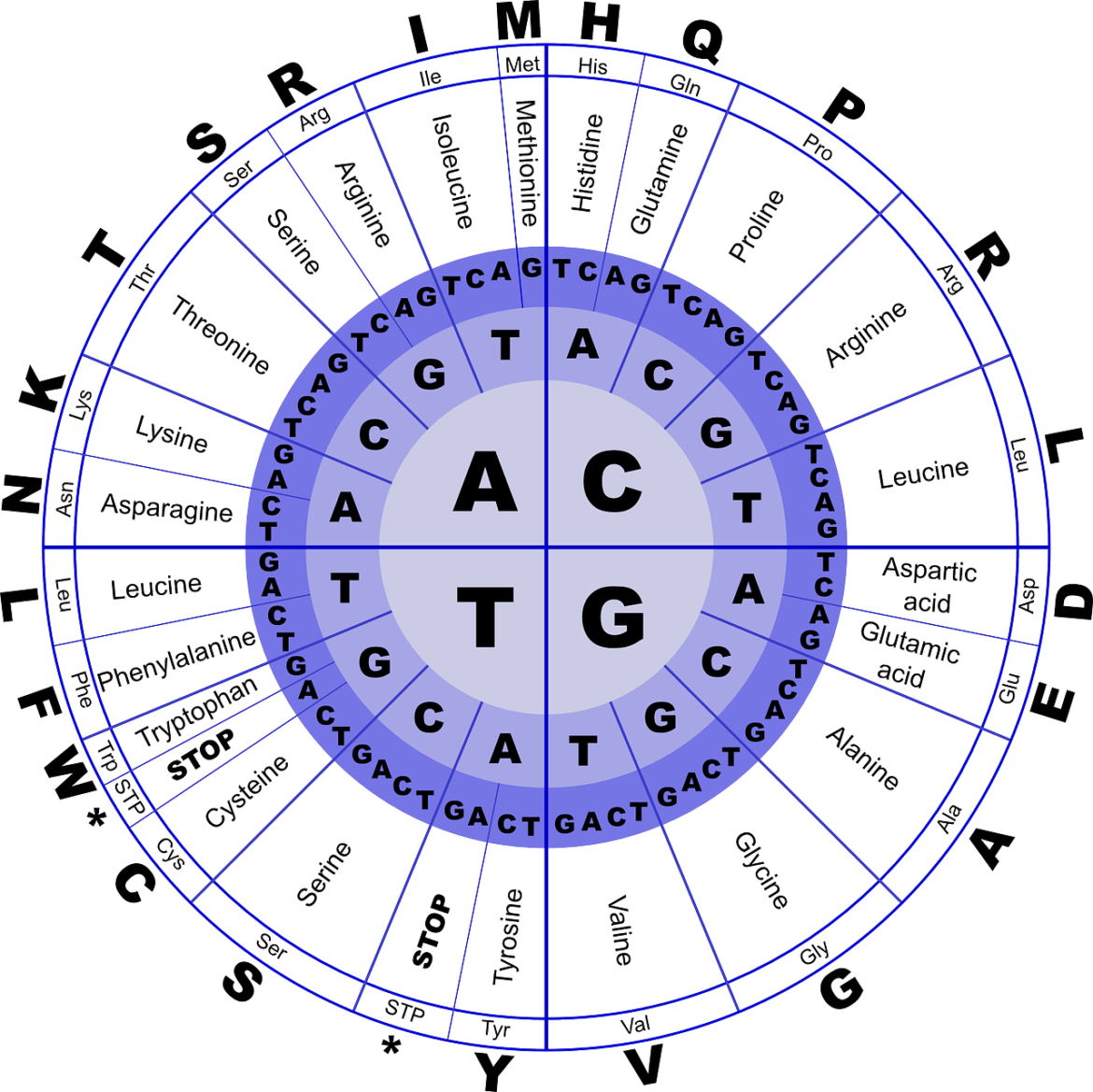 Was ist eine Autoimmunerkrankung? Ursachen, Symptome, Behandlung