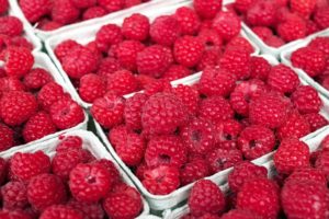 Himbeere Himbeeren 