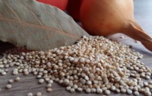 lebensmittel , veganes essen , vegetarische kost , zwiebel , laurel , hintergrund, Quinoa