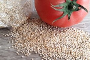 lebensmittel , veganes essen , vegetarische kost , zwiebel , laurel , quinoa , hintergrund