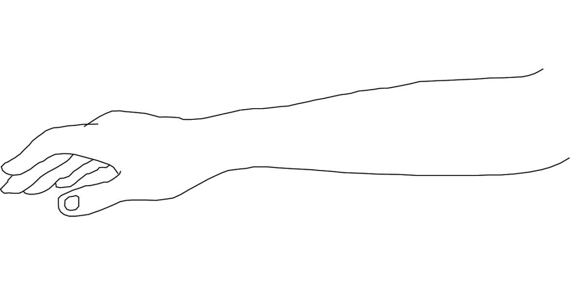 Elle - Anatomie, Funktion, Beschwerden » Krank.de