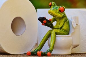 frosch , toilette , klo , sitzung , lustig , toilettenpapier , wc , niedlich , handy , grün , tier, kot, exkremente, urin