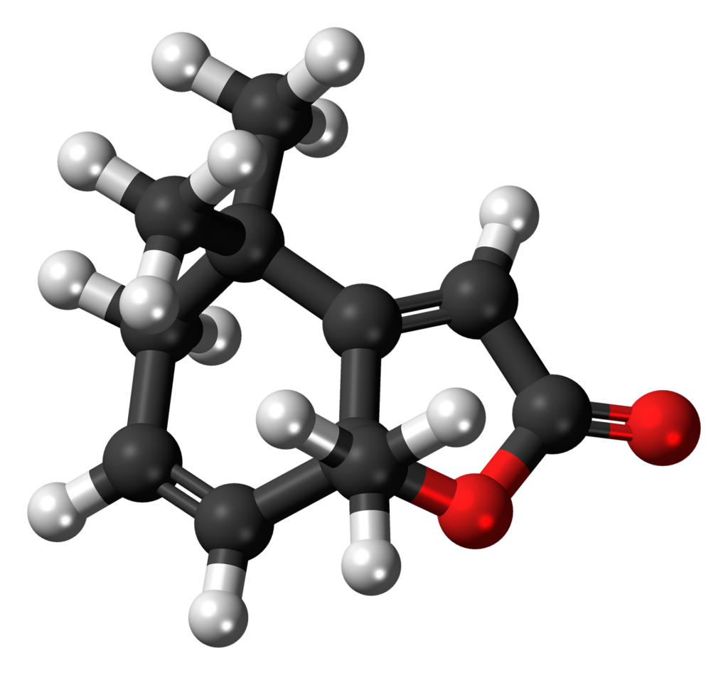 Pheromone - Anatomie, Funktion, Beschwerden » Krank.de