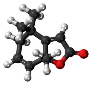 actinidiolide , pheromon , molekül , struktur, katzenpheromon