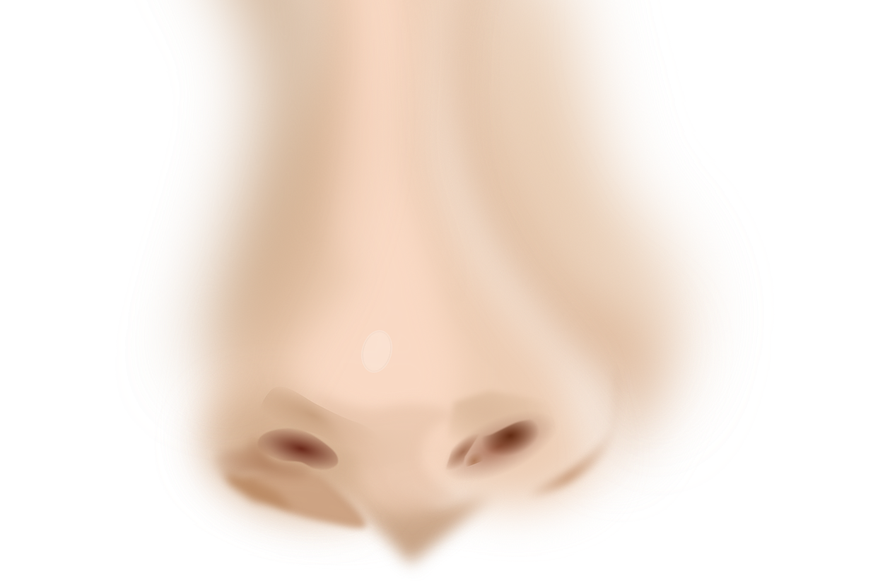 Sinne erklärt! Funktion, Aufgabe, Krankheiten & Störung » Krank.de