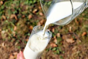 glas , milch , weiß , kuhmilch , eingießen , getränk , frischmilch , Was macht die Milch so gesund?