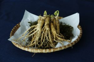 ginseng heilkräuter heilpflanzen alternative medizin hausmittel