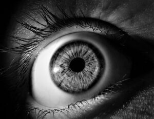 auge , iris , pupille , sehvermögen , augapfel , wimpern , blick , sehen