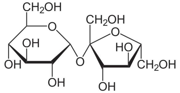 Saccharose Wirkung, Anwendungsgebiete & Nebenwirkungen »Krank.de