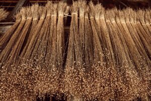 flachs , pflanze , trocknen , handwerk , altes handwerk , spinnen , weben , leinen , stoffe , aufhängen , historisch , alt , flachskapseln , samenkapseln , leinöl , leinsamen , superfood