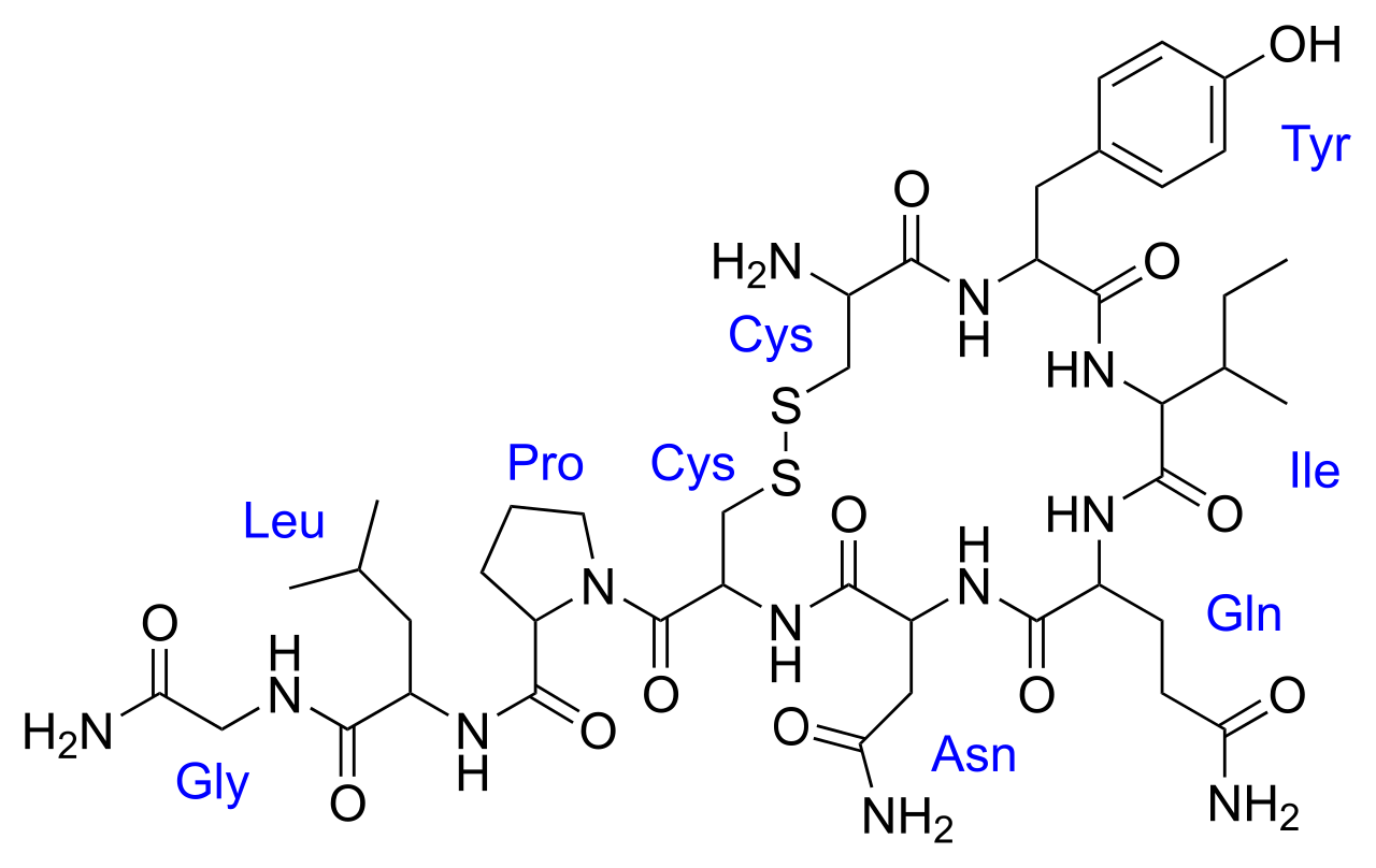 Oxytocin Wirkung, Anwendungsgebiete & Nebenwirkungen » Krank.de