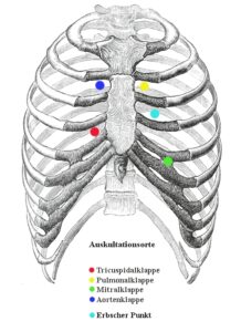 Auskultation Herz Punkte 