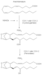 Cyclooxygenase (COX), COX-Hemmer, Arachidonsäure, Prostaglandin
