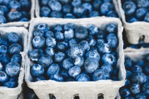 blaubeeren , bündel , beeren , früchte , bündel beeren , frische beeren , frische heidelbeeren , reif , reife blaubeeren , obststand , ernte , produzieren , organisch , frisches erzeugnis ,