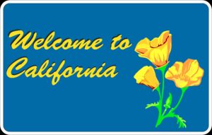 Kalifornische Mohn (Eschscholzia californica),  Goldmohn