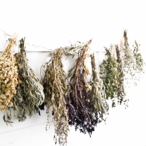 Heilpflanzen, Heilkräuter, kräuter , natur , natürlich , getrocknete kräuter , tee , pflanzen , die gesundheit , gesund , blatt , blumen , salbei , basilikum , thymian , oregano