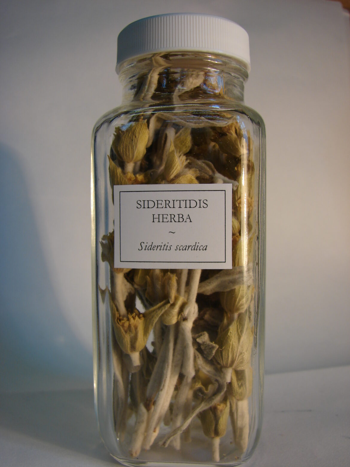 Griechischer Bergtee (Sideritis bzw. Gliedkraut) als Heilpflanze » Krank.de