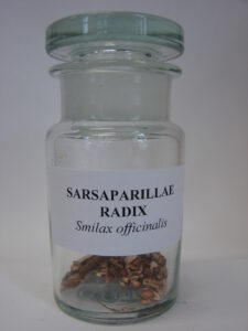 Sarsaparillwurzel (Sarsaparillae radix), Stechwindenwurzel, Radix Sarsaparillae, Radix Sarsae, Radix Smilacis, Veracruz-Sarsaparille