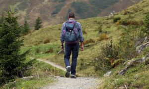 bergsteigen , mann , pfad , weg , berge , männlicher bergsteiger , wanderer , rucksackreisen , rucksack , wanderung , ein weg , bergwandern , wandern , abenteuer , aktivität , reisender , tourist , lebensstil , berg , natur , landschaft , berglandschaft , bergweg , bergsteiger , bergwanderung , urlaub , erholung , freizeit , entspannung ,
