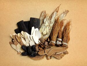 Reishi Pilz, Ling Zhi, Lingzhi, Glänzender Lackproling, Ganoderma lucidum, Heilpilz
