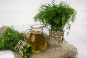 Dill, Dille oder Gurkenkraut, auch Dillkraut und Dillfenchel genannt (Anethum graveolens