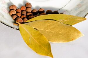 Gewürzkörner; Nelkenpfeffer; Viergewürz; Allgewürz; Jamaikapfeffer; Modegewürz; Englisches Gewürz; Allspice , Pimenta dioica, Pimenta officinalis