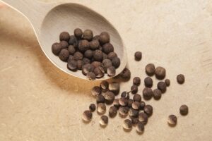 Gewürzkörner; Nelkenpfeffer; Viergewürz; Allgewürz; Jamaikapfeffer; Modegewürz; Englisches Gewürz; Allspice , Pimenta dioica, Pimenta officinalis