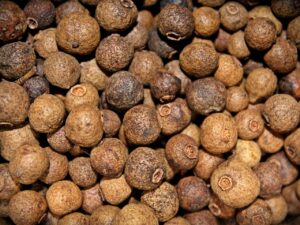 Gewürzkörner; Nelkenpfeffer; Viergewürz; Allgewürz; Jamaikapfeffer; Modegewürz; Englisches Gewürz; Allspice , Pimenta dioica, Pimenta officinalis