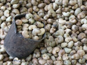  cashewnuß cashew priroda nbatur nature nattur cashewkerne ntaur natürlich naure nture wesensart rösten pflanze beschaffenheit natur natue atur natre die natur naturau nuss