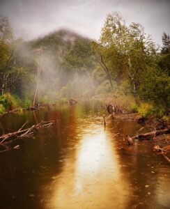  teich